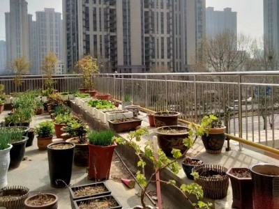 不銹鋼陽(yáng)臺(tái)護(hù)欄